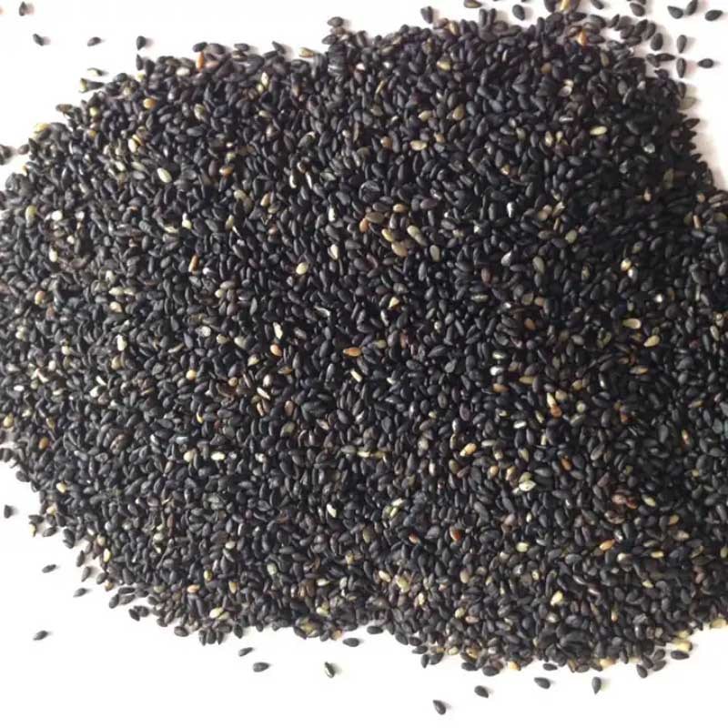 Roasted White Sesame/ 2023/Premium Sesame Roasted White Sesame Best Quality 100%