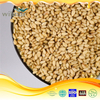 Hot Selling Wholesale High Grade Cooked Sesame Instant Roasted Black Sesame