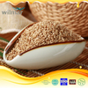 in 2022, The Factory Supplies High-Quality White Sesame 100% Natural White Sesame for Export
