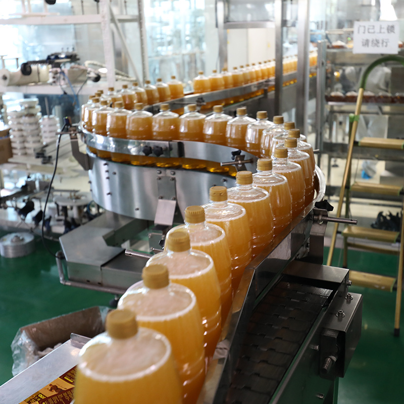 20mt Flexitank Healthy Aromatic or Refined Vegetable Oil