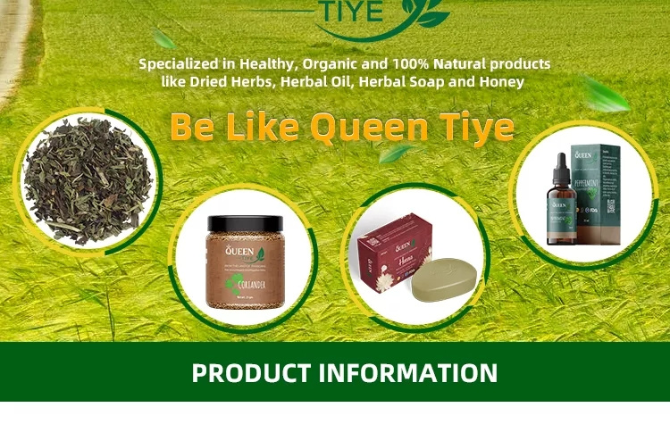 Promotional Top Quality Raw White Sesame Seeds 100% Natural Oil Sesame Seeds