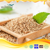 Selected White Sesame 100% Natural Top Quality From China