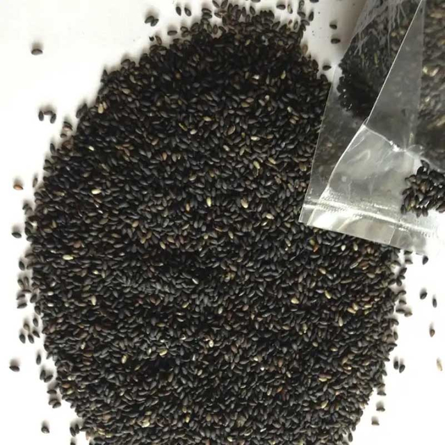 Roasted White Sesame with Good Color/ Premium Quality From China