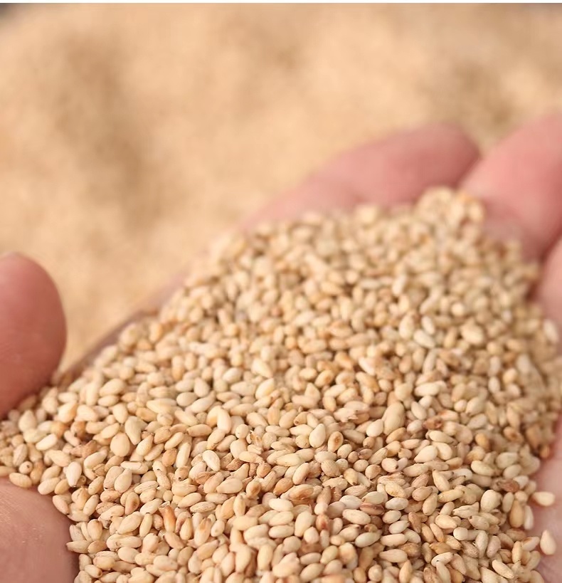 Hot-Selling High-Quality Agricultural Products Wholesale Roasted Sesame Seeds Have Huge Demand for Bulk Purchases