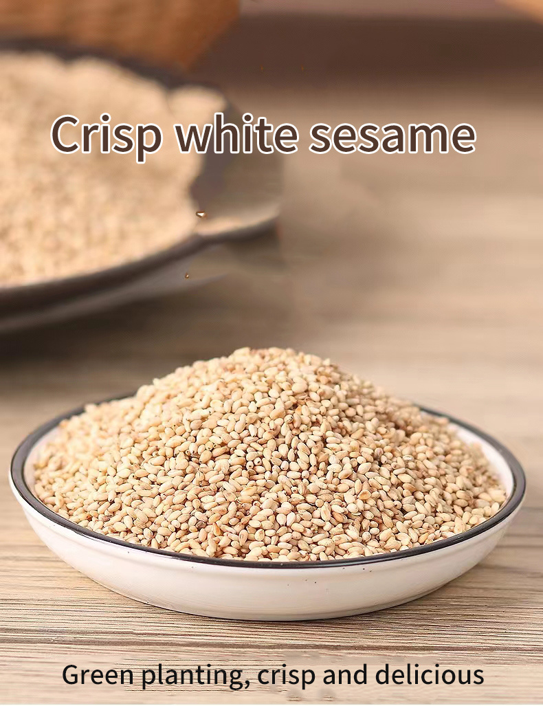 Factory Direct Non-GMO White Sesame for Sale Natural Unhulled Sesame
