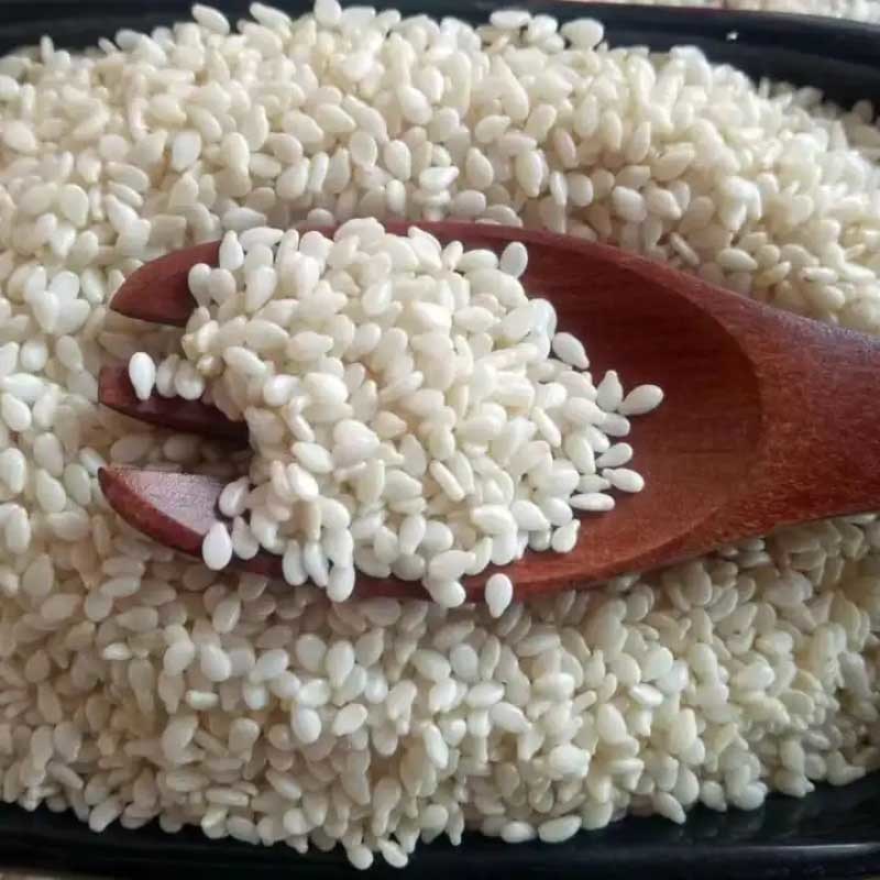 Roasted White Sesame/ 2023/Premium Sesame Roasted White Sesame Best Quality 100%