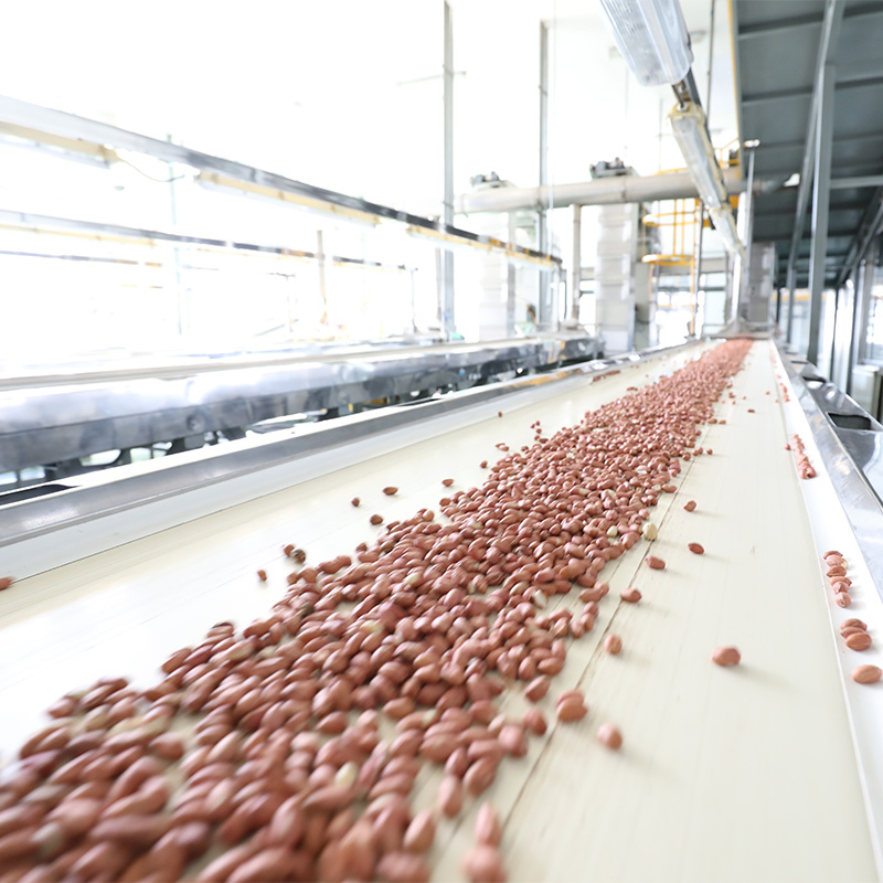 20mt Flexitank Seasoning Healthy Aromatic Refined Vegetable Oil